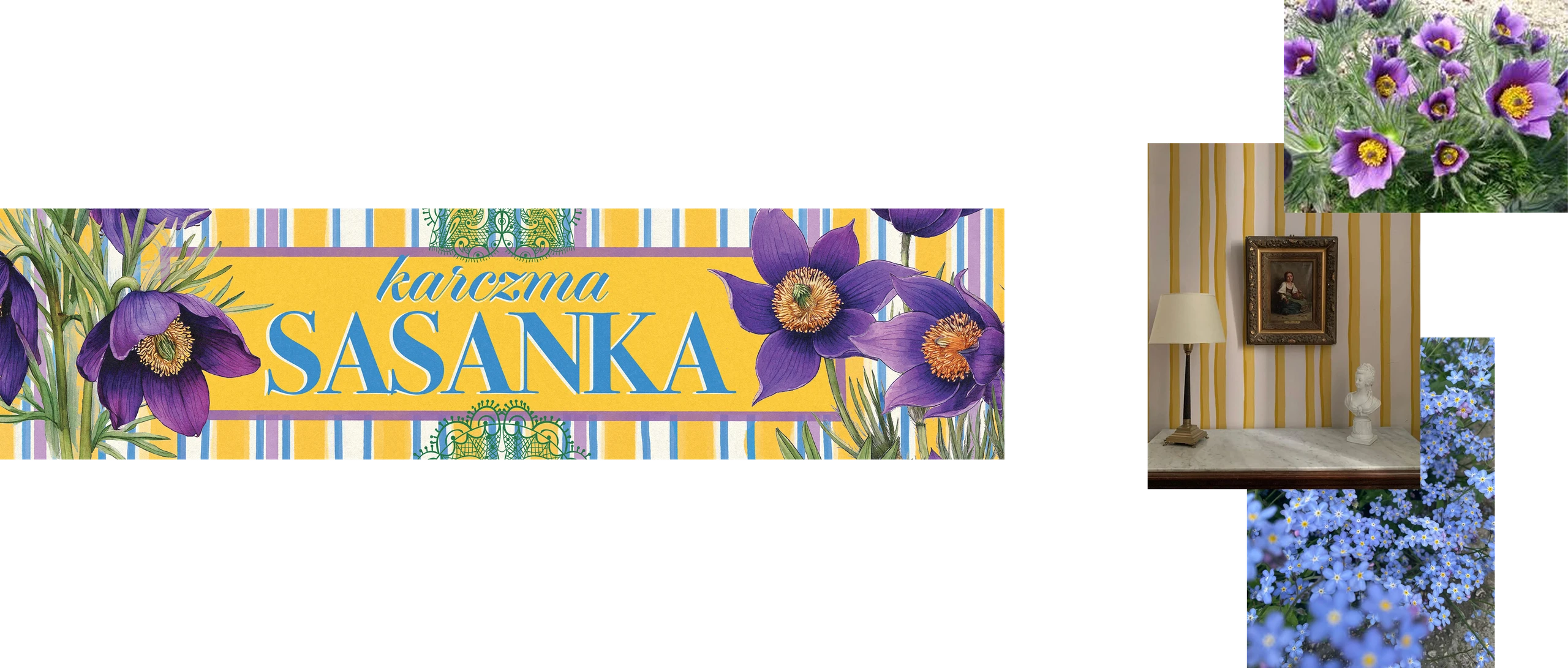Karczma Sasanka signboard: purple pasque-flowers on yellow stripes, beside photos of pasque flowers and a striped-wallpaper interior