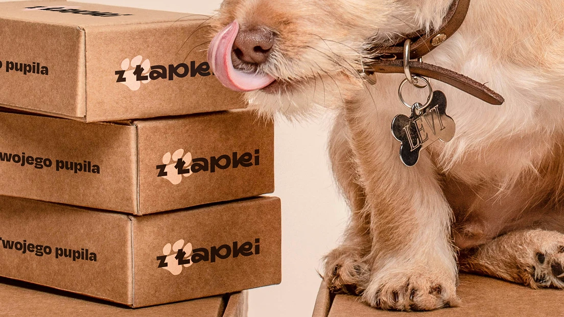 Scruffy dog licking its nose while standing on a stack of kraft shipping boxes printed with the Z Łapki logo